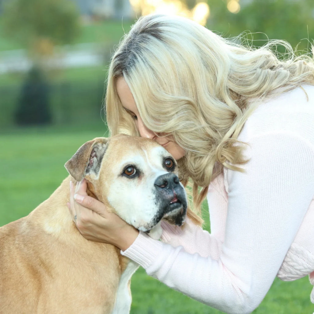 Bosley's 1 Year Rainbow Bridge Anniversary