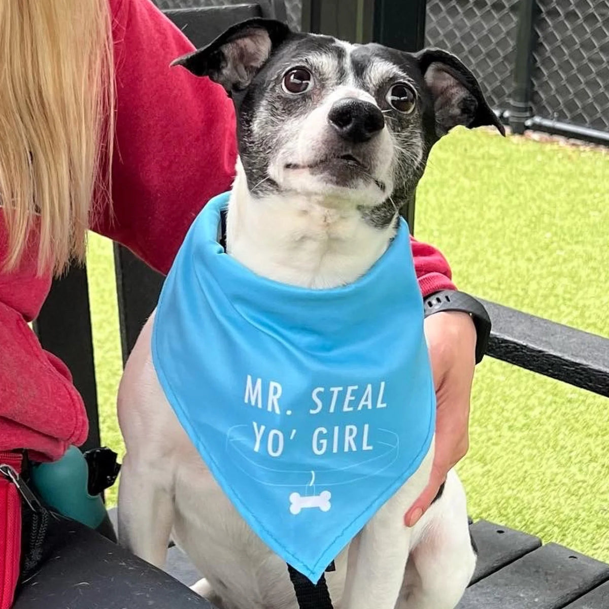 Teal dog shop bandana