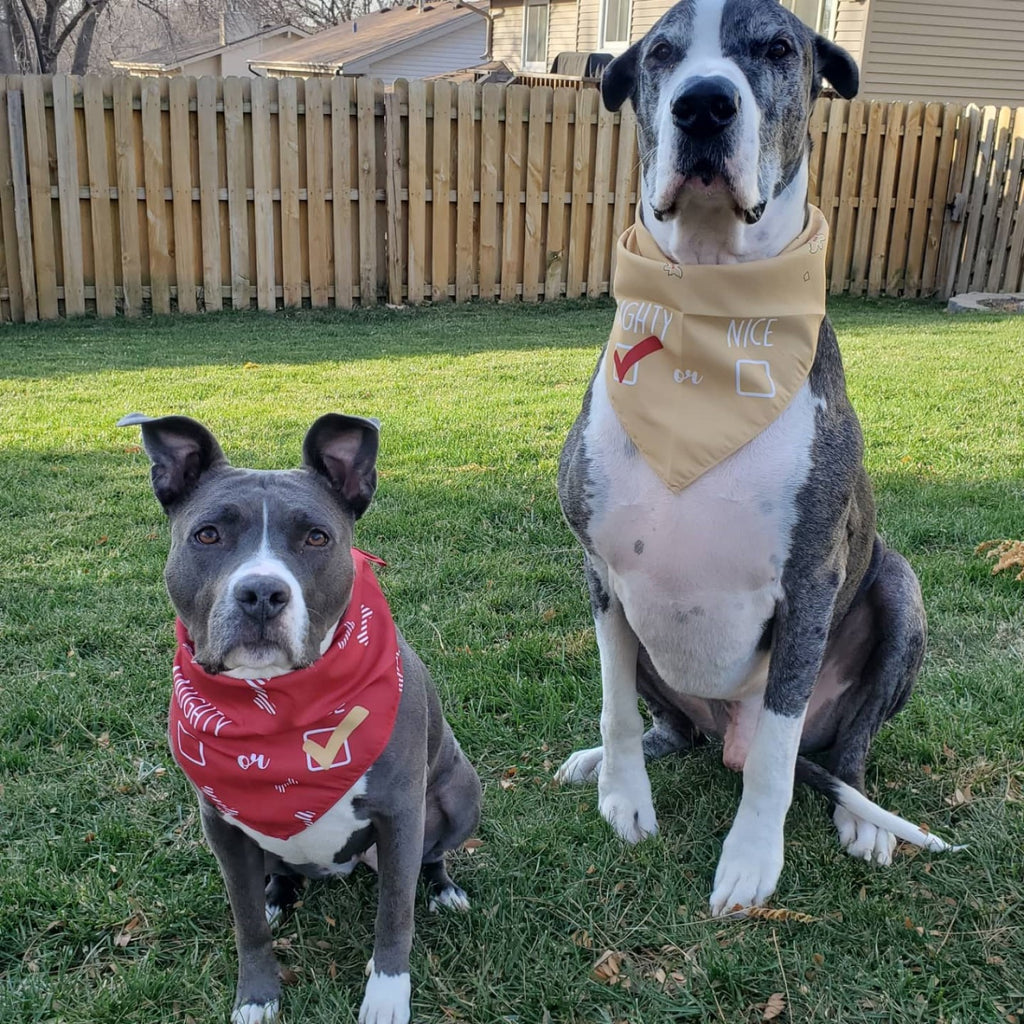 Naughty and nice dog bandanas sale